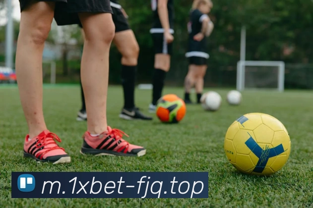 App Interface Preview